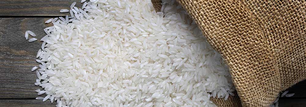 rice02